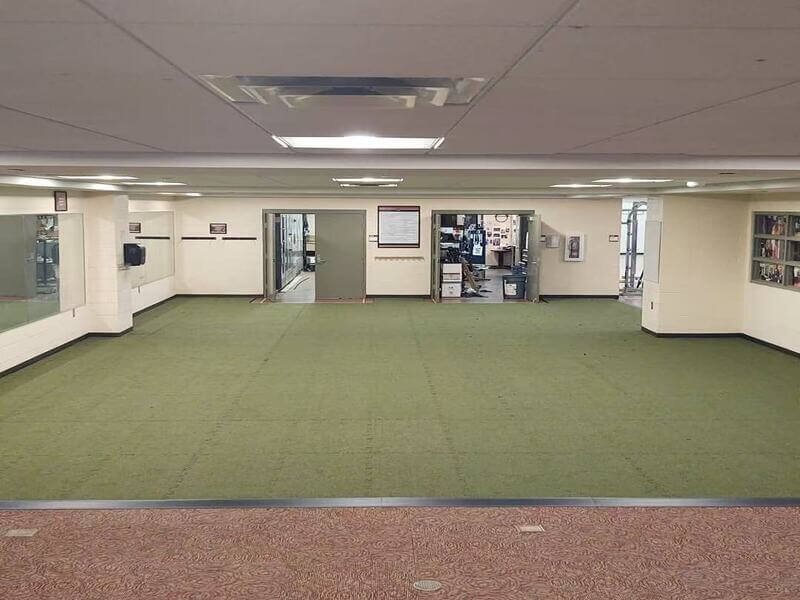 alt durable BJJ mats